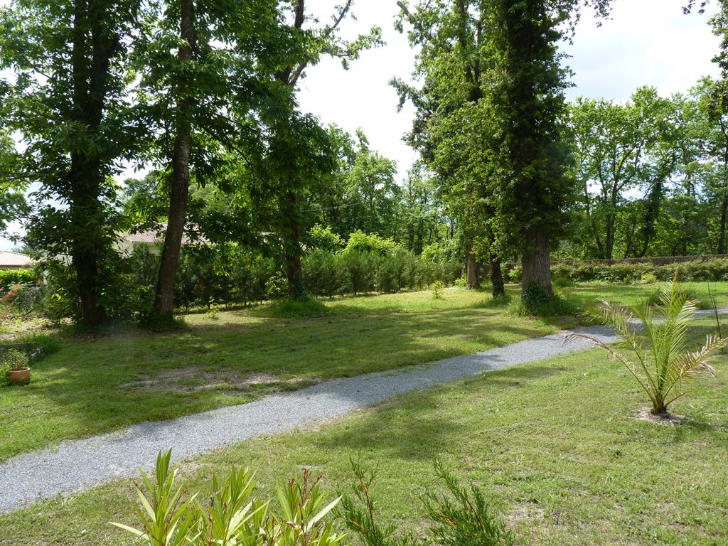 Jardin arboré