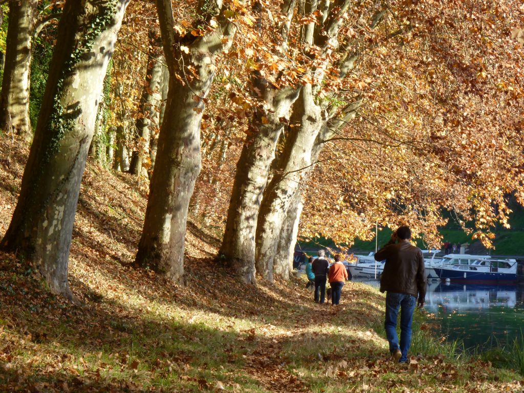 Les activités à proximité du gite