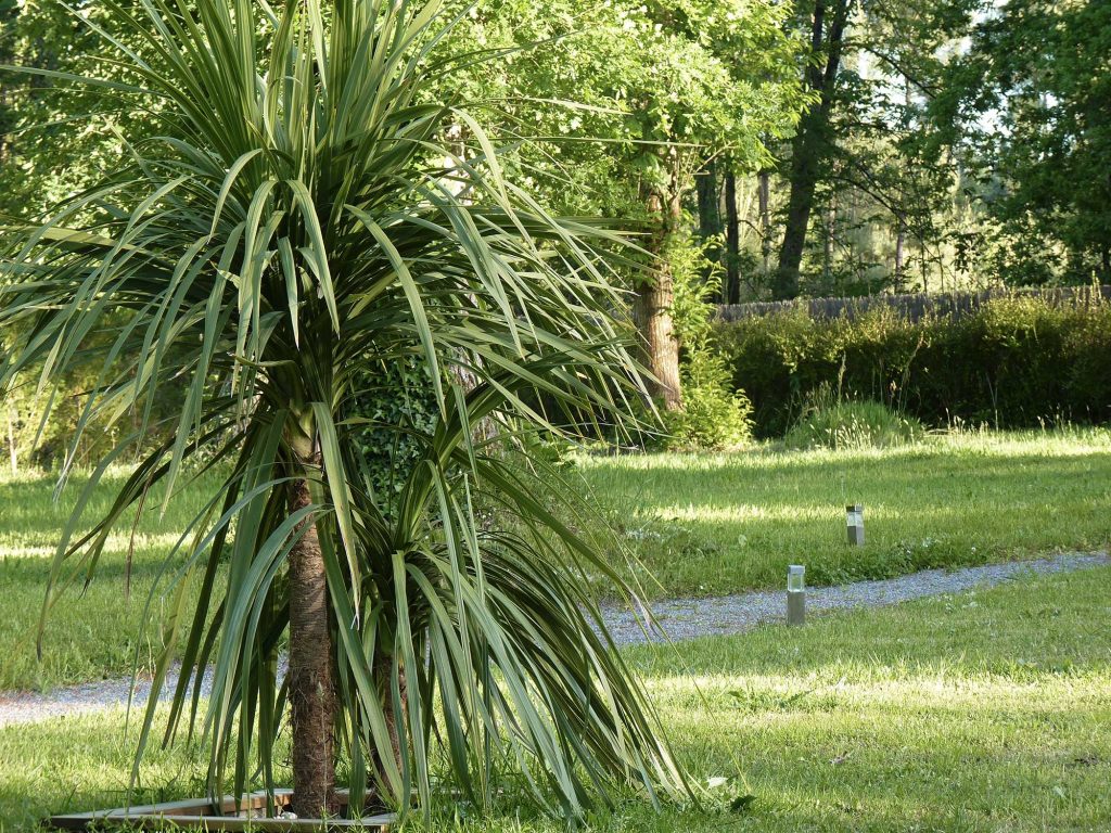 Jardin des gîtes A l'heure d'été